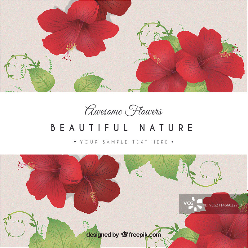 红色花朵卡片图片素材