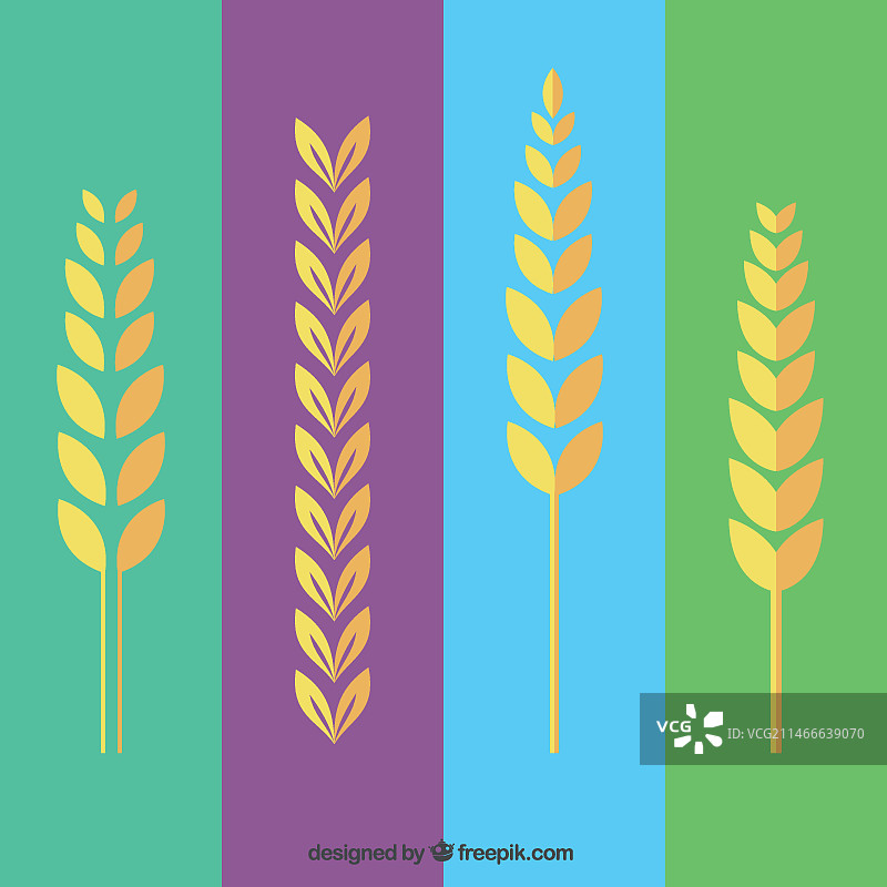 小麦的耳朵图片素材