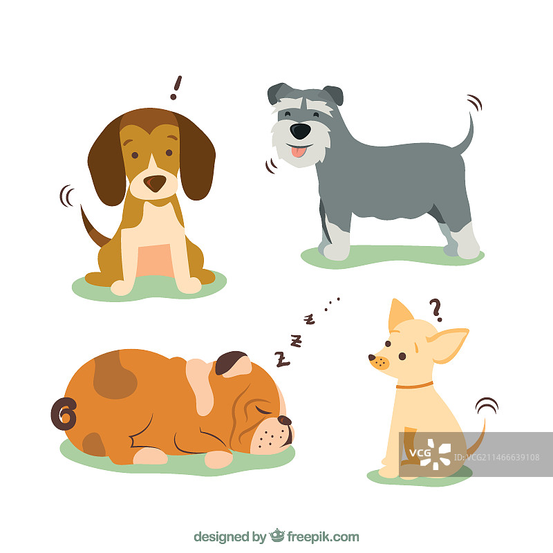 犬类品种插画图片素材