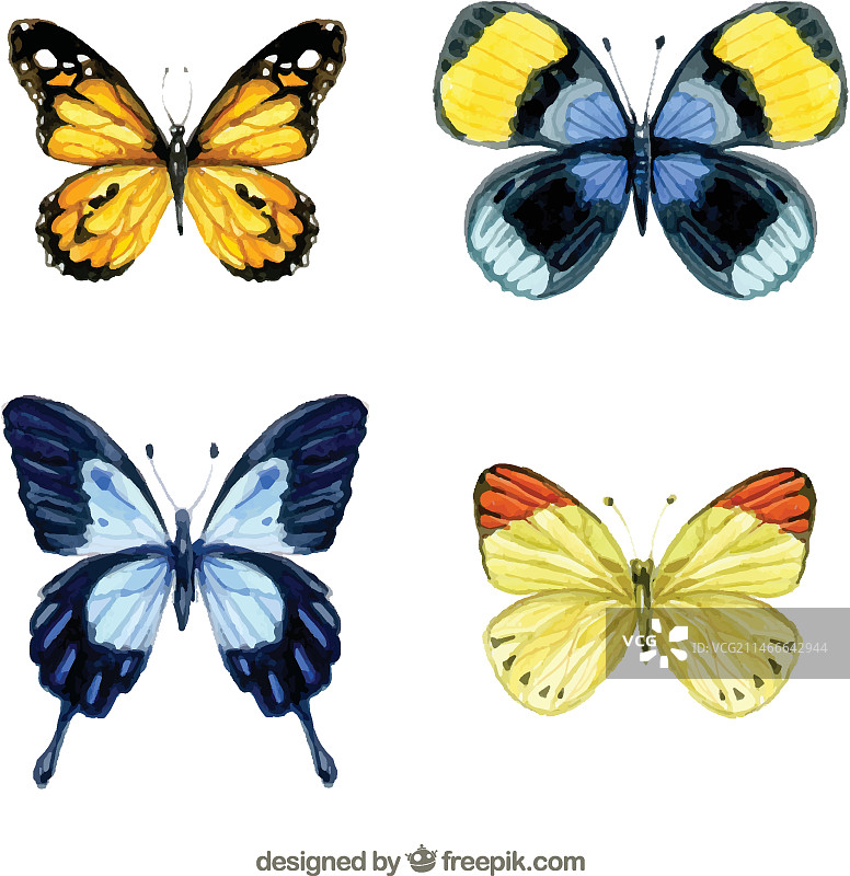 水彩蝴蝶图片素材