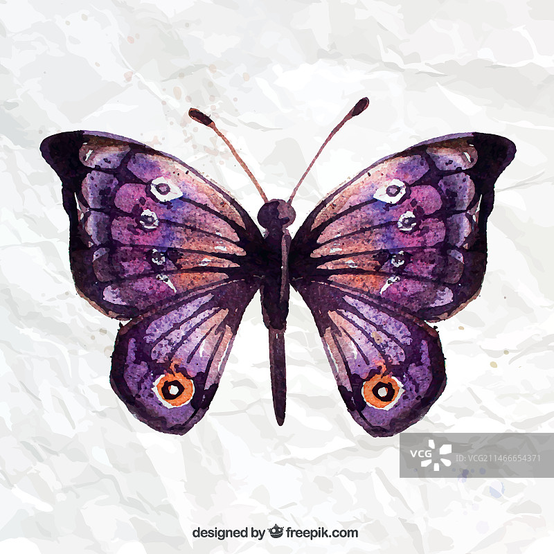 手绘蝴蝶图片素材