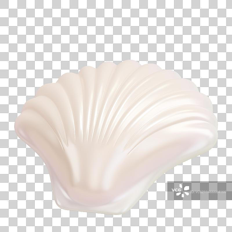3D珍珠白贝壳图片素材