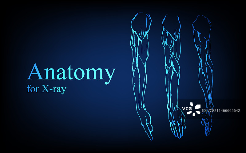 X光视图人体解剖图片素材