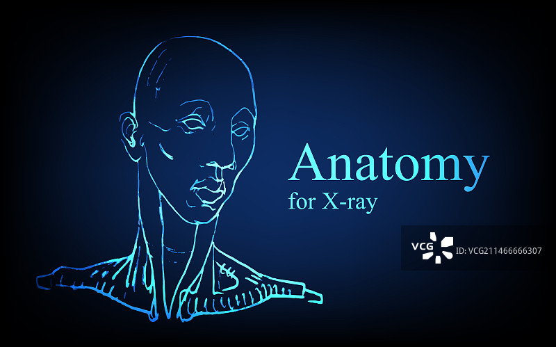 X光视图人体解剖图片素材