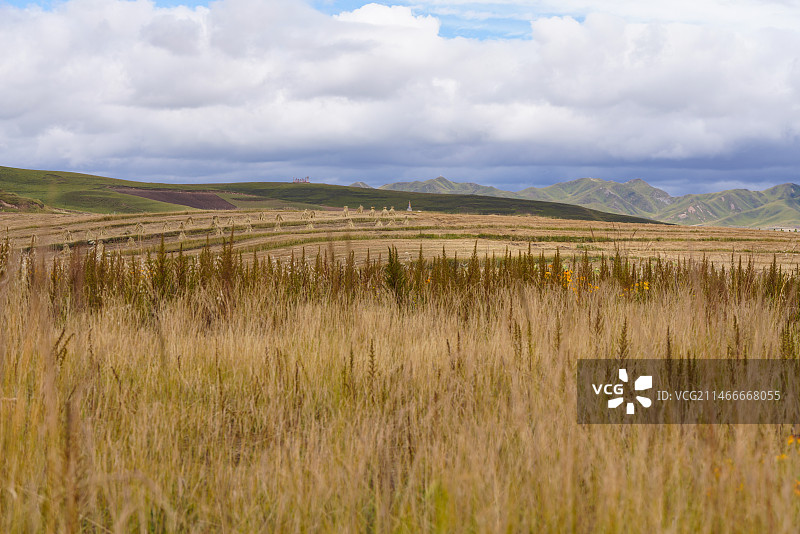 甘肃省 甘南藏族自治州 夏河县 黑力宁巴景区图片素材
