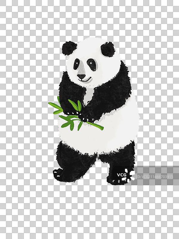 吃竹子的大熊猫图片素材