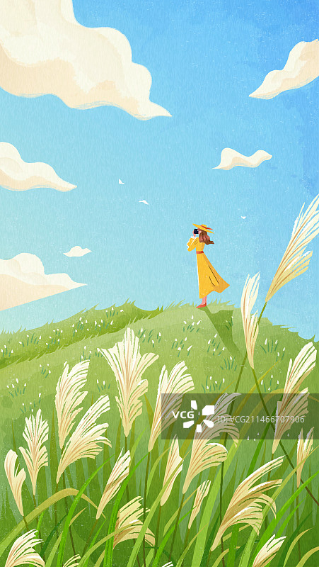 山坡上赏芒草的女孩儿手机壁纸图片素材