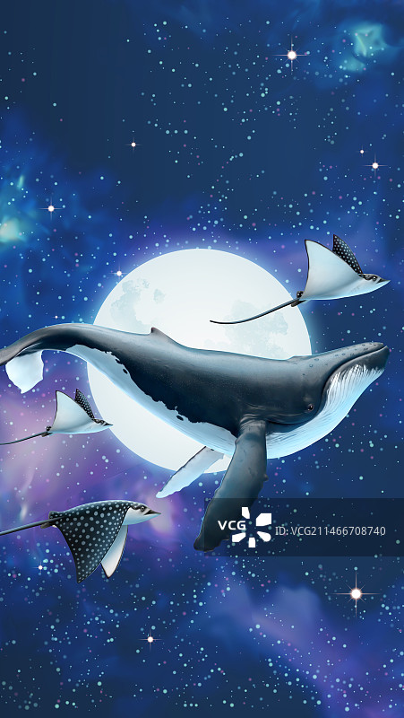 星空中翱翔的座头鲸与魔鬼鱼 梦幻手机壁纸图片素材