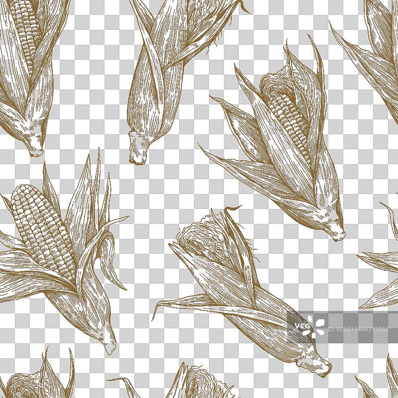 复古玉米棒无缝图案图片素材