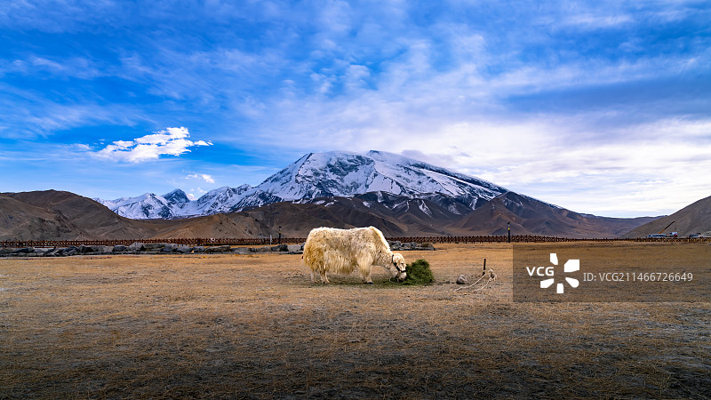 慕士塔格峰下哈拉库勒湖湖岸风光图片素材
