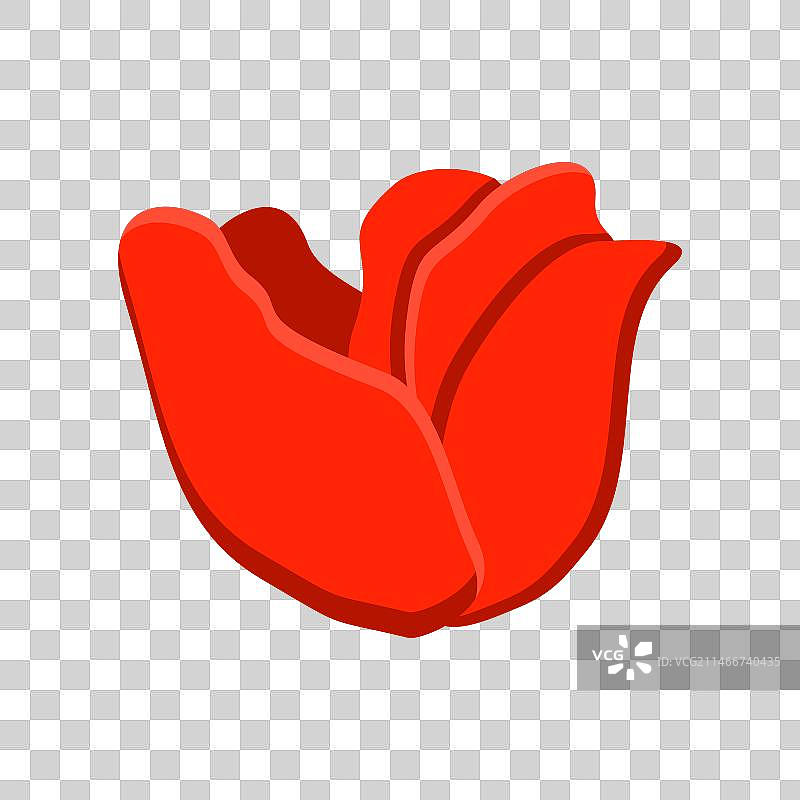 阵亡将士纪念日花朵元素设计图片素材