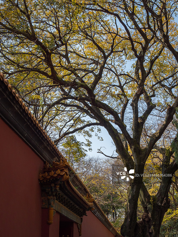 明孝陵图片素材