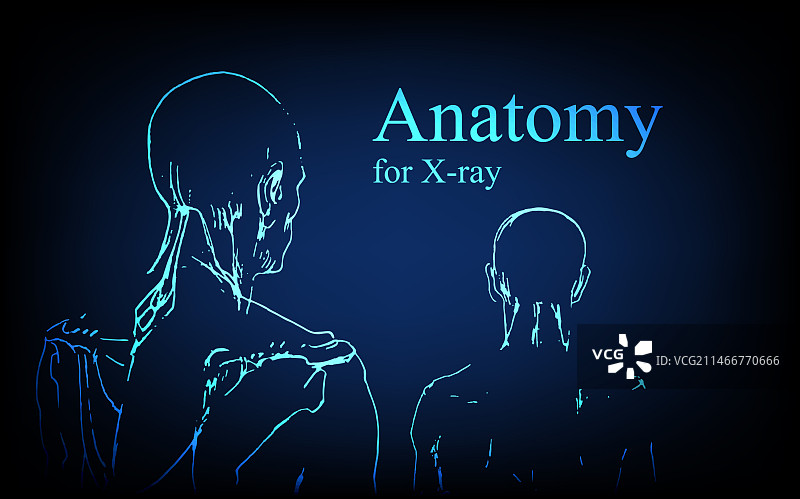 X光视图人体解剖图片素材