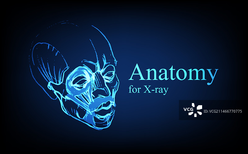 X光视图人体解剖图片素材