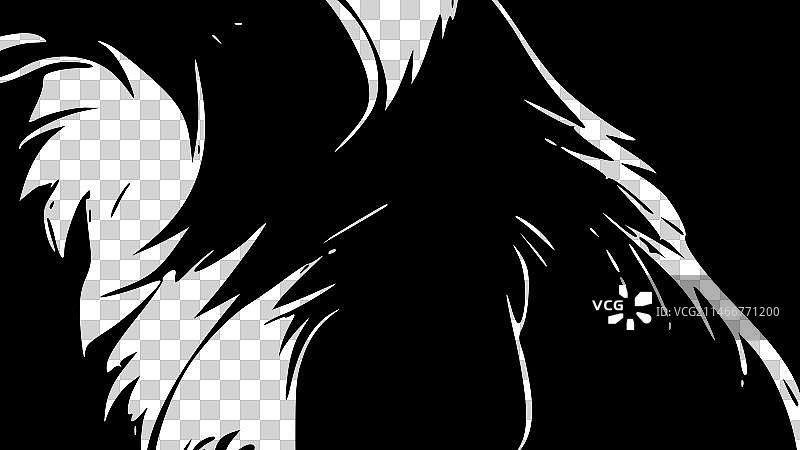 高品质边境牧羊犬Logo图片素材