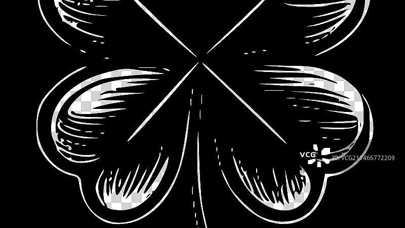 黑白三叶草图片素材