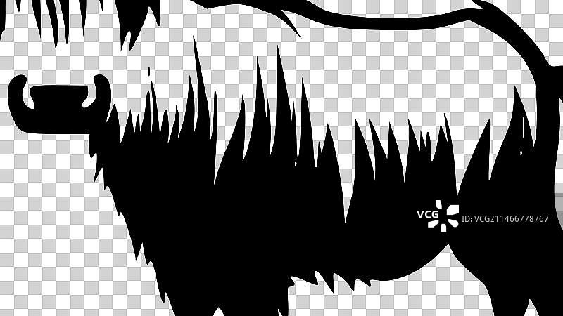 黑白高地牛隔离图标图片素材