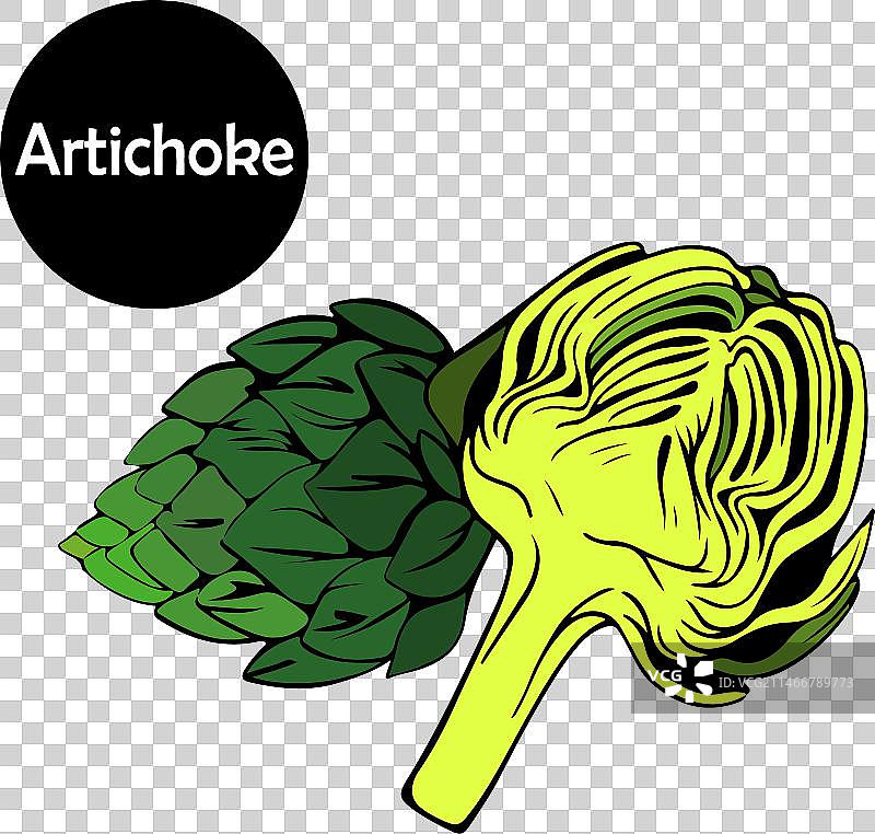 朝鲜蓟花可食用花蕾（完整和半个）图片素材