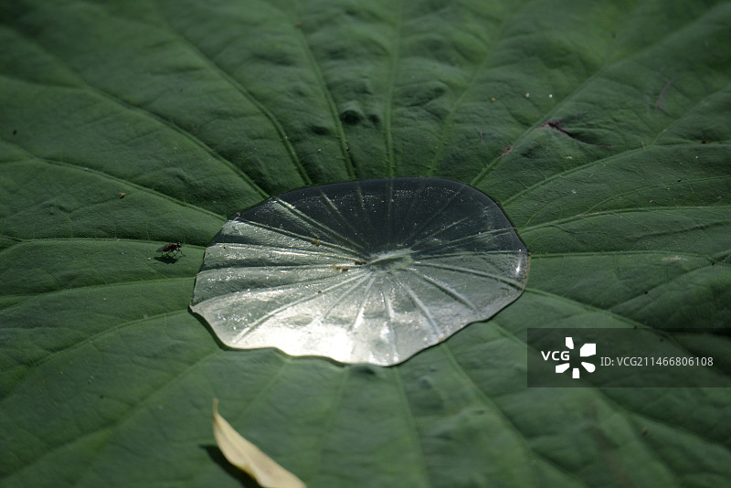 北京园博园明园图片素材