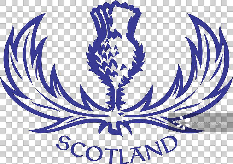 凯尔特风格的苏格兰蓟花设计图片素材