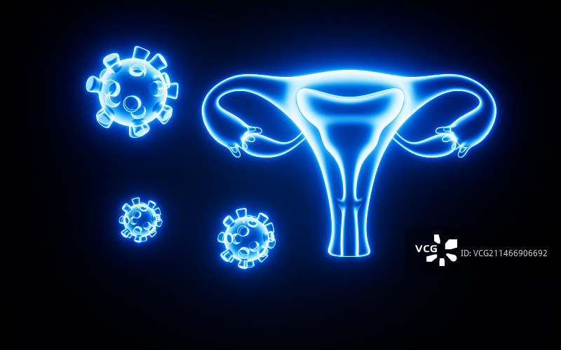 女性子宫模型与病毒感染3D渲染图片素材