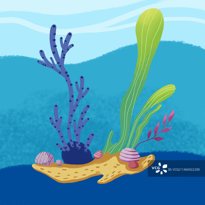 海底植物图片素材