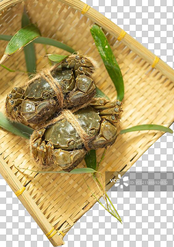 螃蟹放在簸箕里图片素材