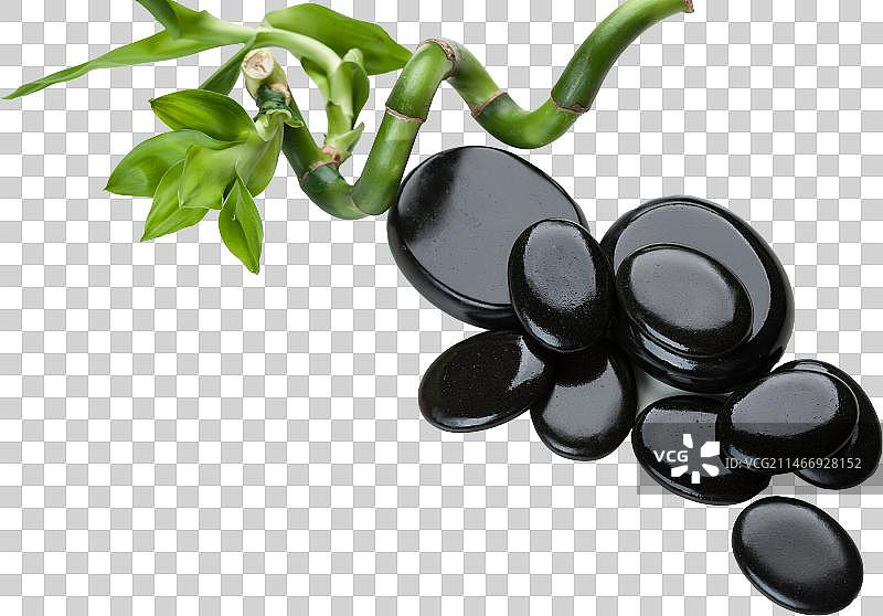 鹅卵石与富贵竹图片素材