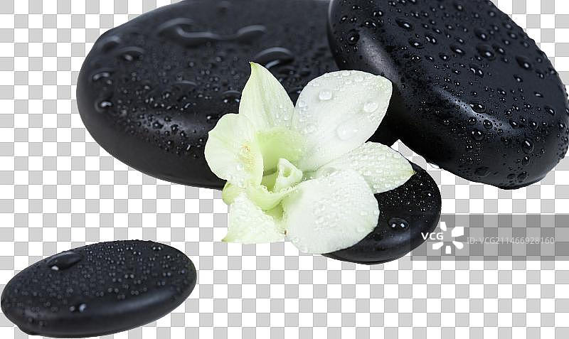 鹅卵石与花图片素材