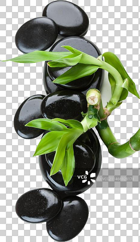 鹅卵石与富贵竹图片素材