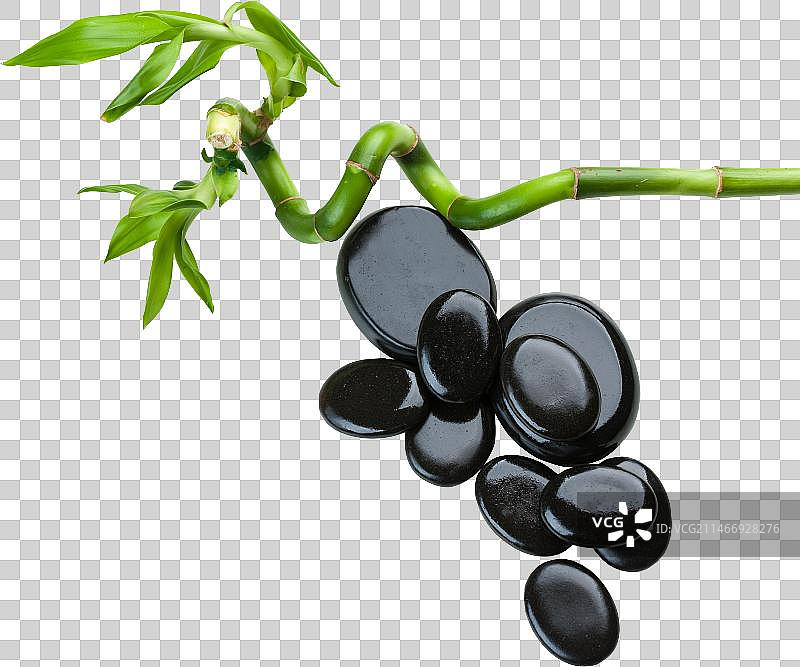 鹅卵石与富贵竹图片素材