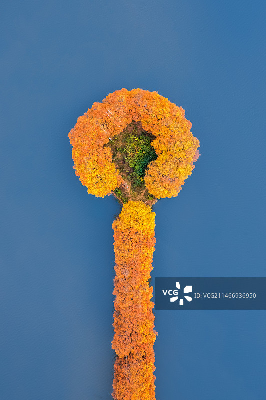 武汉东湖秋色图片素材