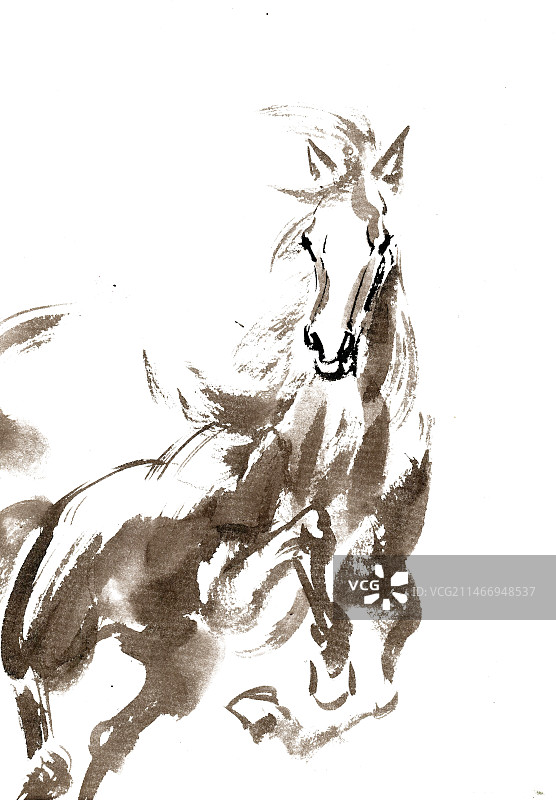 腾空的骏马图片素材