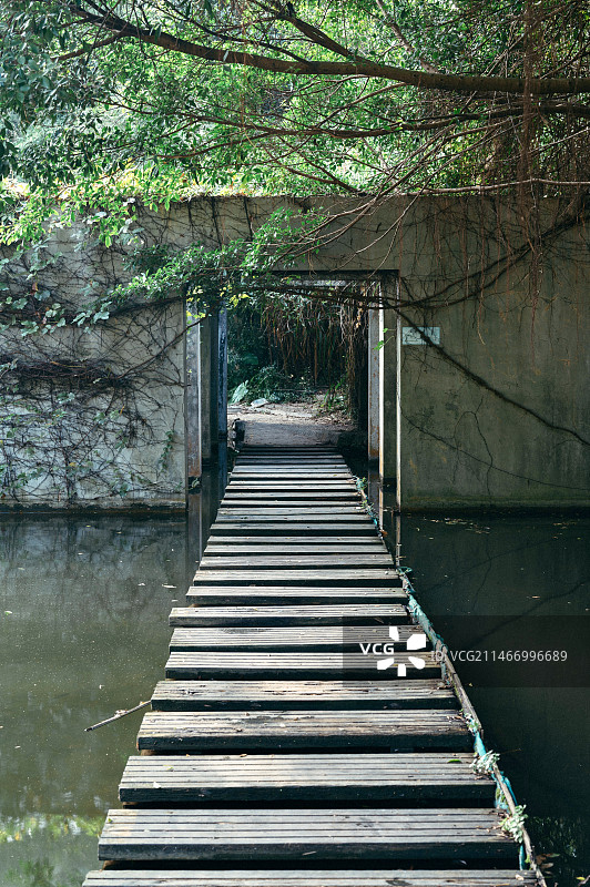 深圳燕晗山郊野公园图片素材