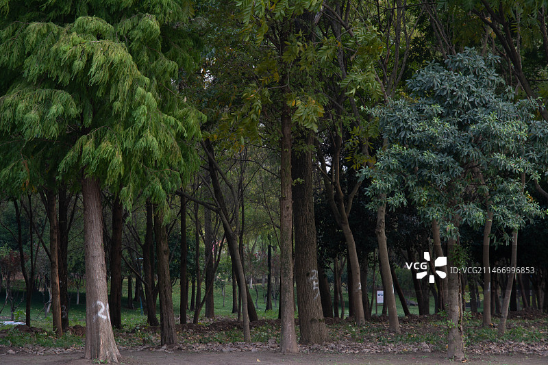 绍兴上虞滨江湿地公园图片素材
