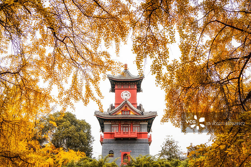 成都华西坝钟楼 秋天图片素材
