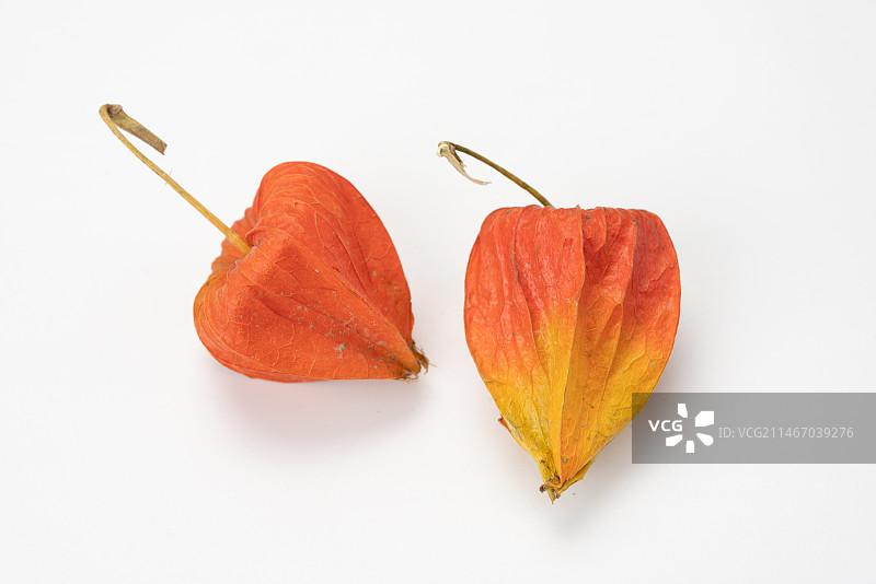 中药锦灯笼图片素材