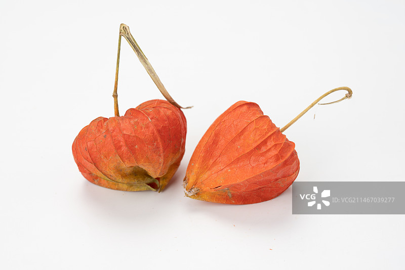 中药锦灯笼图片素材