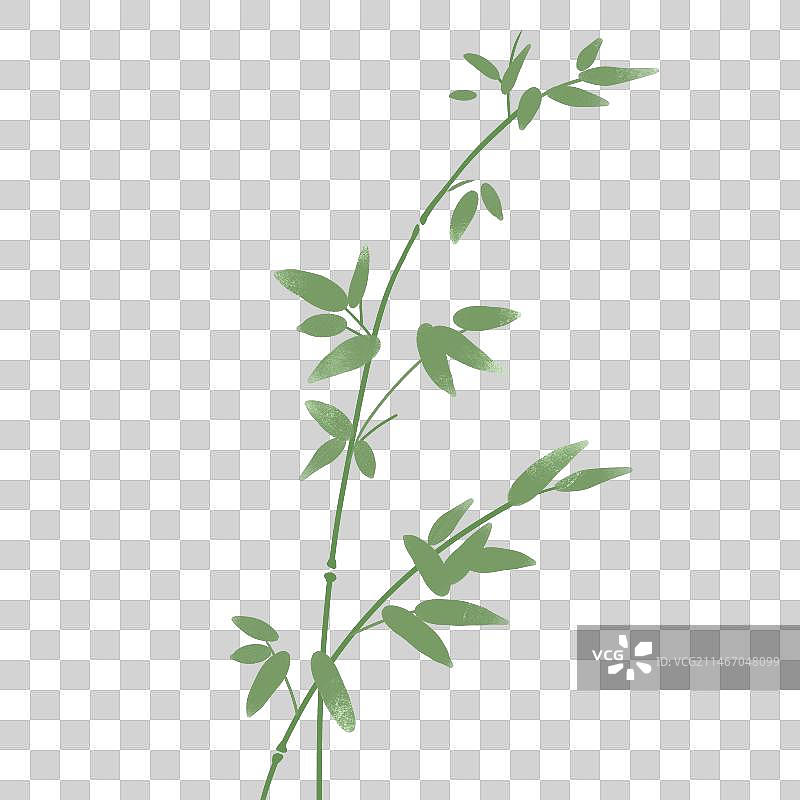 古风竹子图片素材