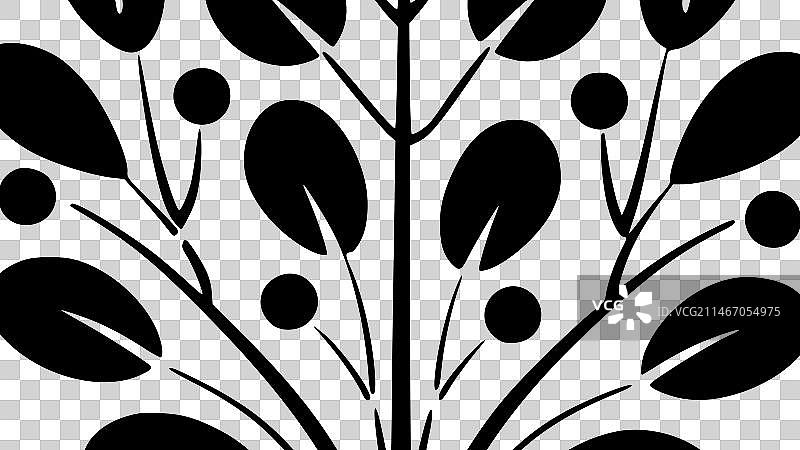 黑白桉树图片素材