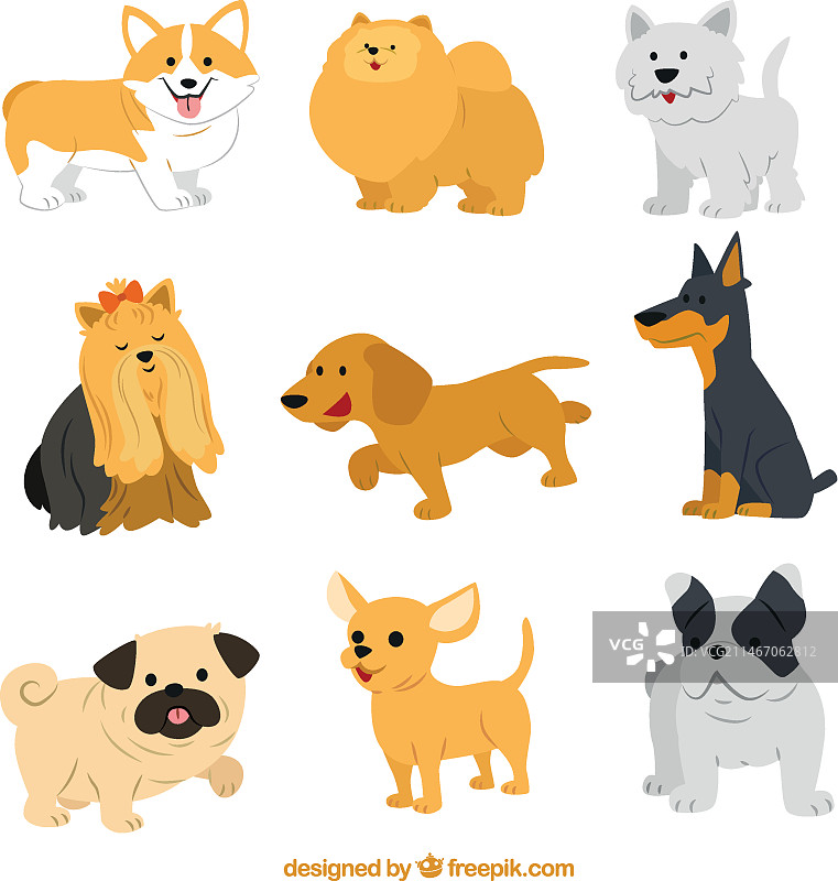可爱的犬种图片素材