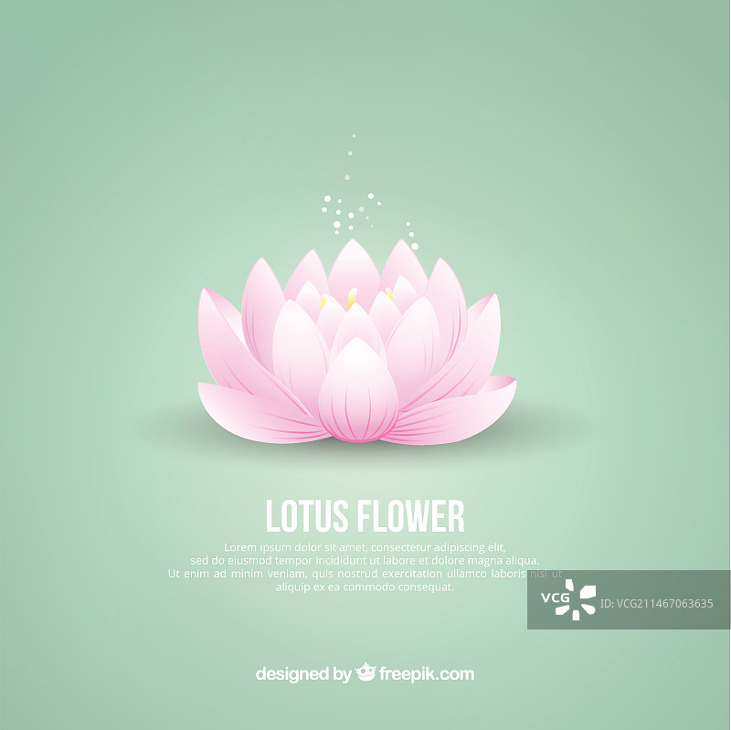 荷花背景图片素材