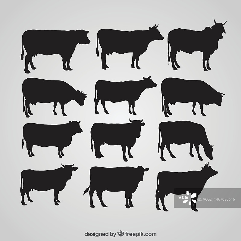 牛的剪影图片素材