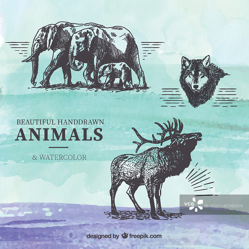 水彩背景上的手绘动物图片素材