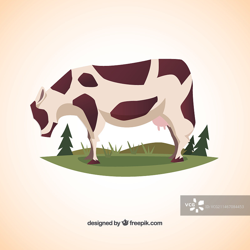 吃草的母牛图片素材