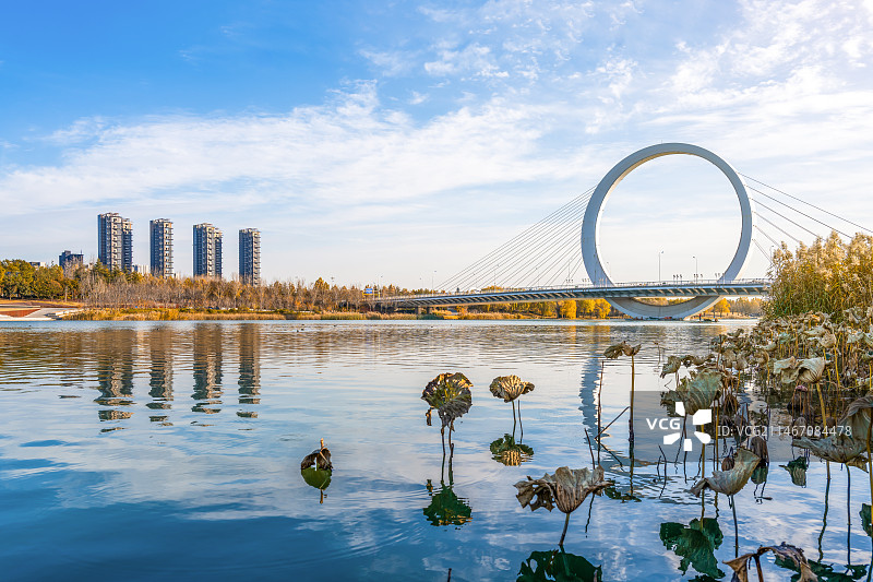中国河南省郑州市蝶湖戒指桥秋季城市公园风光图片素材