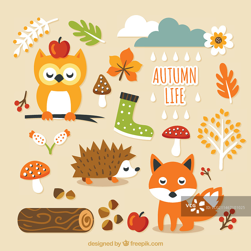 可爱的秋季生活图片素材