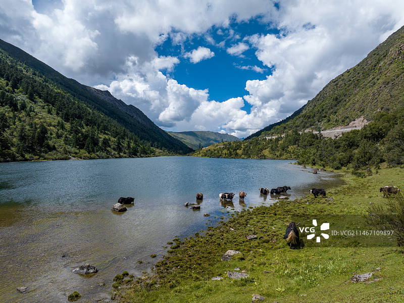 航拍西藏朗县拉多藏湖白昼风光图片素材