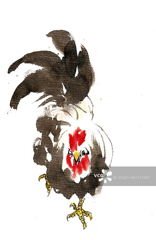 翘尾巴的公鸡图片素材