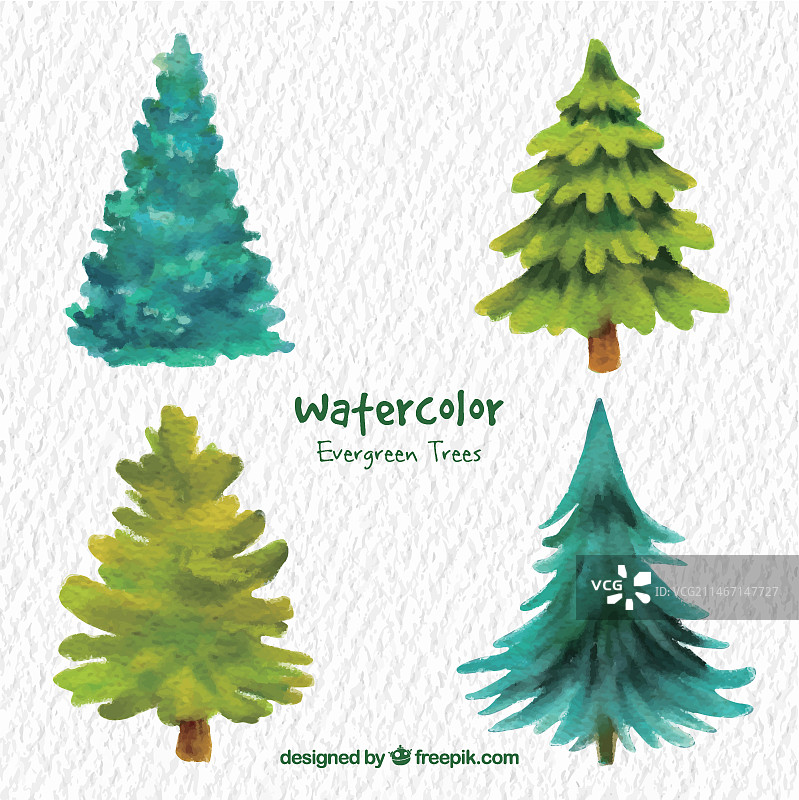 水彩常绿树图片素材